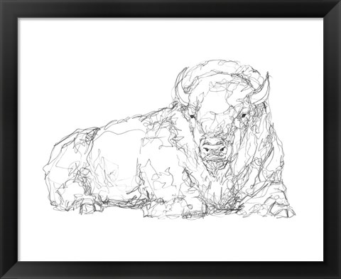 Framed Bison Contour Sketch I Print