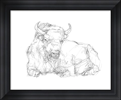 Framed Bison Contour Sketch II Print