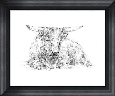 Framed Highland Cattle Sketch II Print