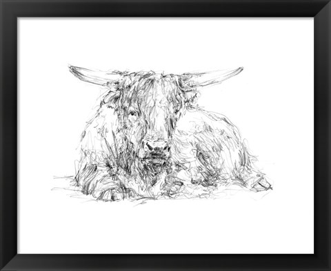 Framed Highland Cattle Sketch II Print