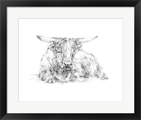 Framed Highland Cattle Sketch II Print