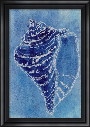 Framed Cerulean Shells I Print