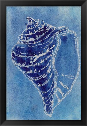 Framed Cerulean Shells I Print