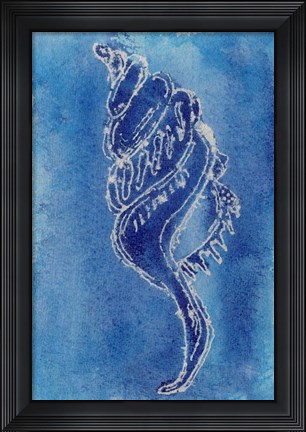 Framed Cerulean Shells IV Print