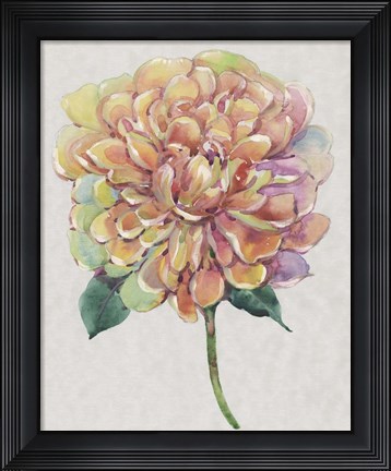 Framed Multicolor Floral I Print