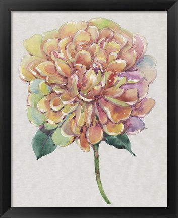 Framed Multicolor Floral I Print