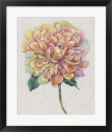 Framed Multicolor Floral I Print