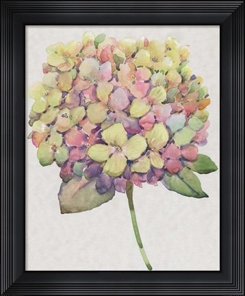 Framed Multicolor Floral II Print