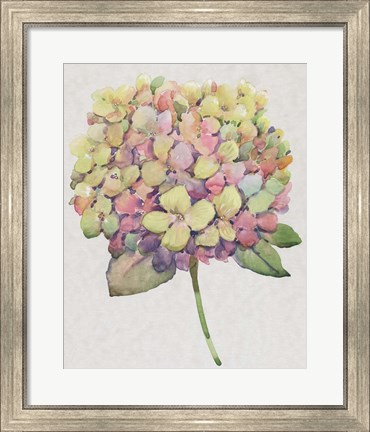 Framed Multicolor Floral II Print