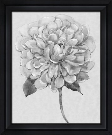 Framed Silvertone Floral I Print
