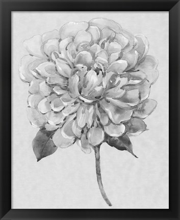 Framed Silvertone Floral I Print
