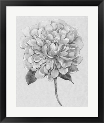 Framed Silvertone Floral I Print