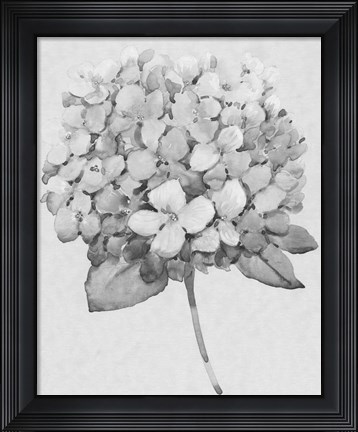 Framed Silvertone Floral II Print