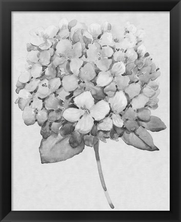 Framed Silvertone Floral II Print