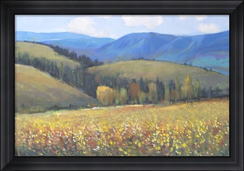 Framed Mountain Pass I Print