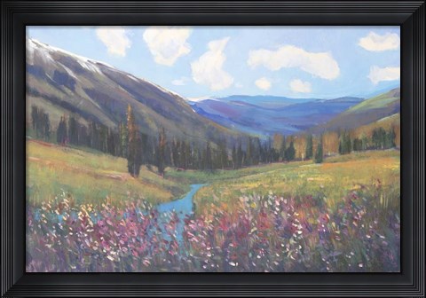 Framed Mountain Pass II Print
