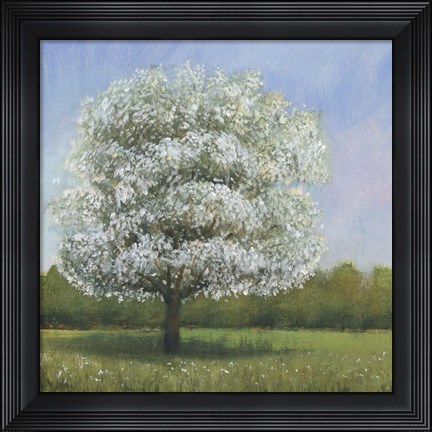 Framed Spring Blossom Tree I Print