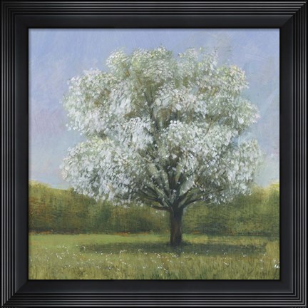 Framed Spring Blossom Tree II Print
