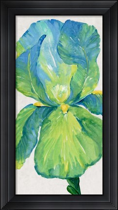 Framed Iris Bloom in Green I Print