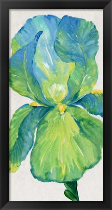 Framed Iris Bloom in Green I Print