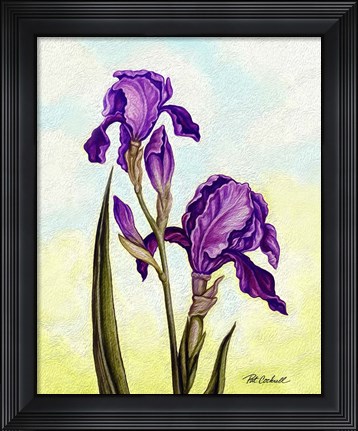 Framed Irises Print