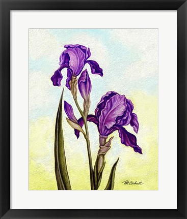 Framed Irises Print