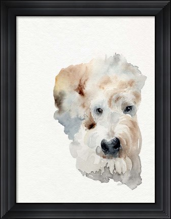 Framed Scruffy Puppy I Print