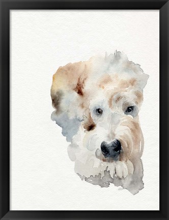 Framed Scruffy Puppy I Print