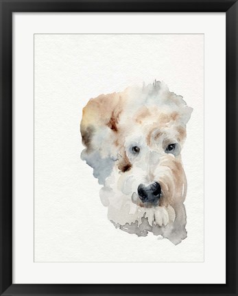 Framed Scruffy Puppy I Print