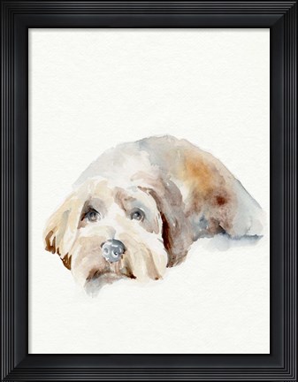Framed Scruffy Puppy II Print