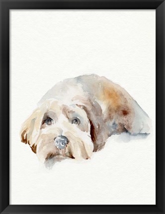 Framed Scruffy Puppy II Print