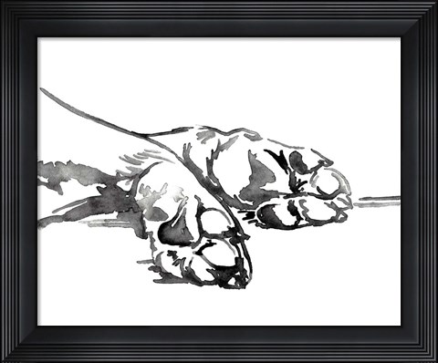 Framed Linear Paws I Print