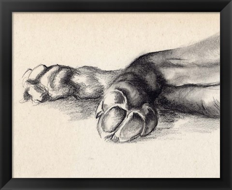 Framed Charcoal Paws I Print