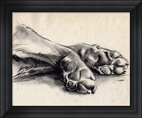Framed Charcoal Paws II Print