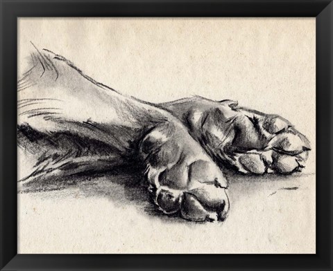 Framed Charcoal Paws II Print