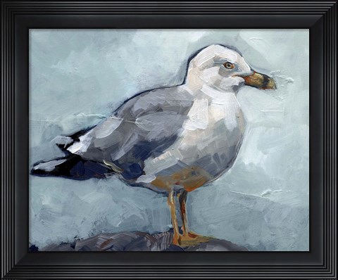 Framed Seagull Stance I Print