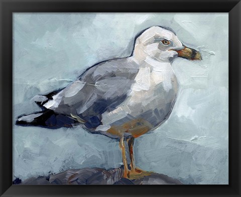 Framed Seagull Stance I Print