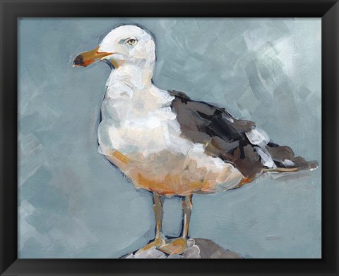 Framed Seagull Stance II Print