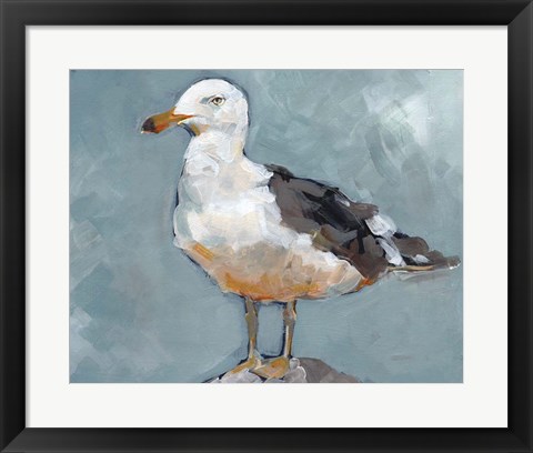 Framed Seagull Stance II Print