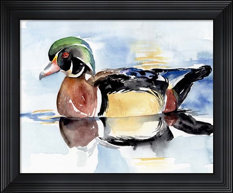 Framed Watercolor Woodduck I Print