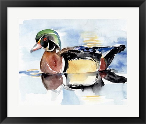 Framed Watercolor Woodduck I Print