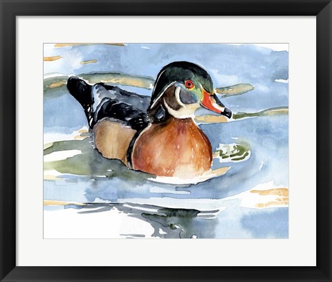 Framed Watercolor Woodduck II Print