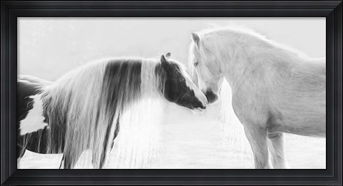Framed Collection of Horses III Print