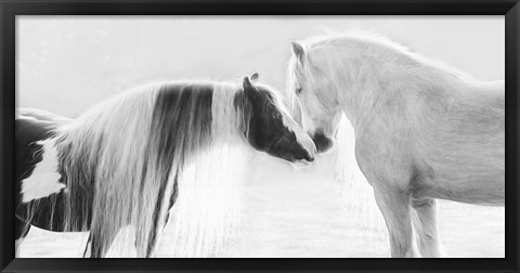 Framed Collection of Horses III Print