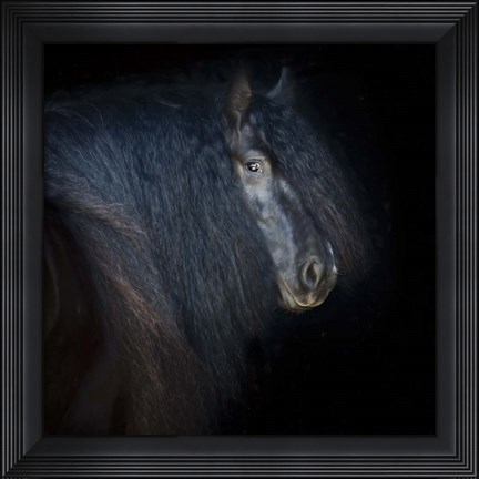 Framed Collection of Horses VI Print