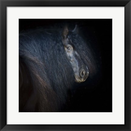 Framed Collection of Horses VI Print