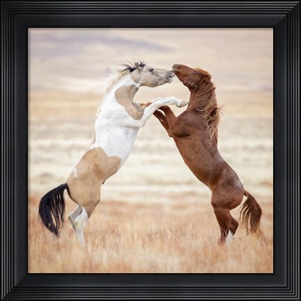 Framed Collection of Horses VIII Print