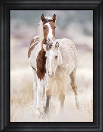 Framed Collection of Horses X Print
