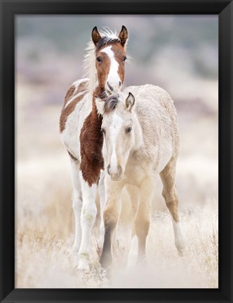 Framed Collection of Horses X Print