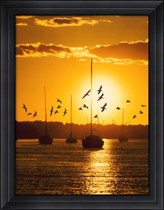 Framed Water &amp; Land II Print